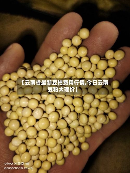 【云南省最新豆柏费用行情,今日云南豆粕大理价】-第2张图片
