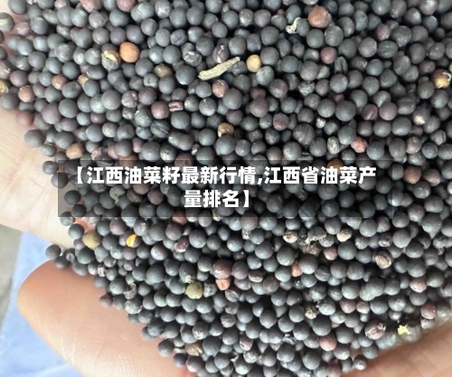 【江西油菜籽最新行情,江西省油菜产量排名】-第2张图片