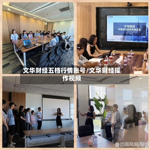 文华财经五档行情账号/文华财经操作视频-第2张图片