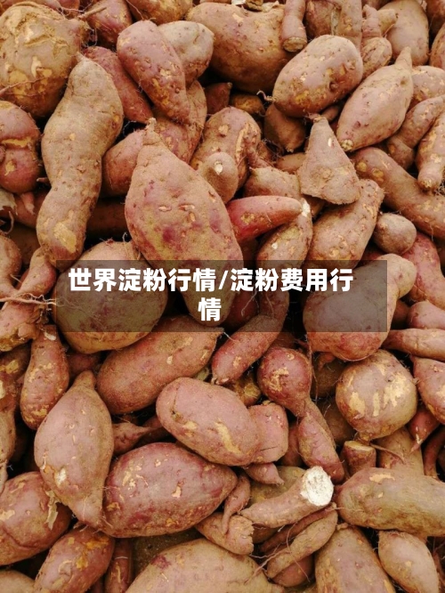 世界淀粉行情/淀粉费用行情-第2张图片