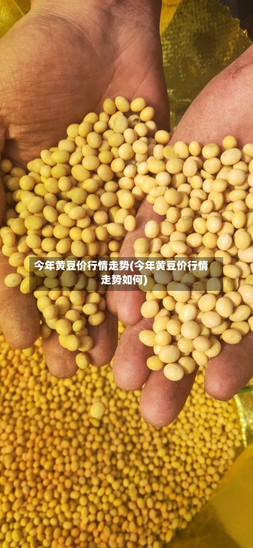 今年黄豆价行情走势(今年黄豆价行情走势如何)