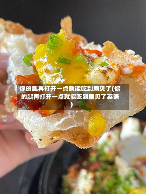 你的腿再打开一点就能吃到扇贝了(你的腿再打开一点就能吃到扇贝了英语)