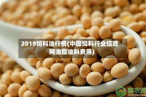 2019饲料油行情(中国饲料行业信息网油脂油料费用)