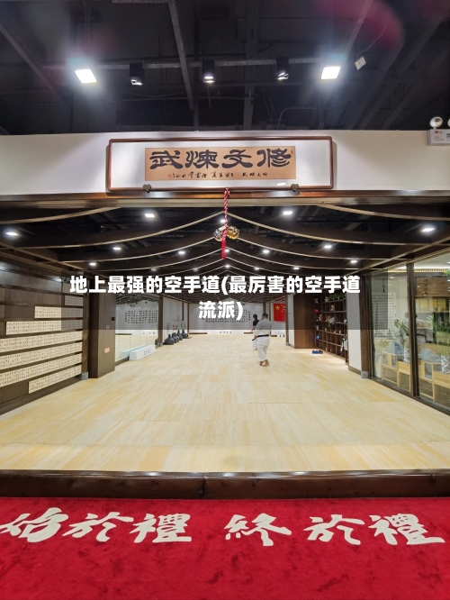 地上最强的空手道(最厉害的空手道流派)