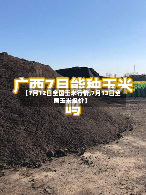 【7月12日全国玉米行情,7月13日全国玉米报价】