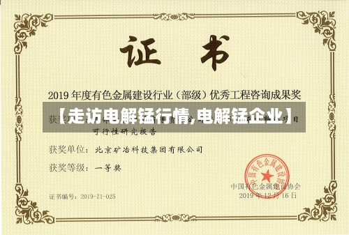 【走访电解锰行情,电解锰企业】