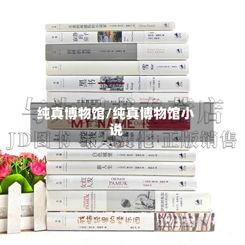 纯真博物馆/纯真博物馆小说-第2张图片