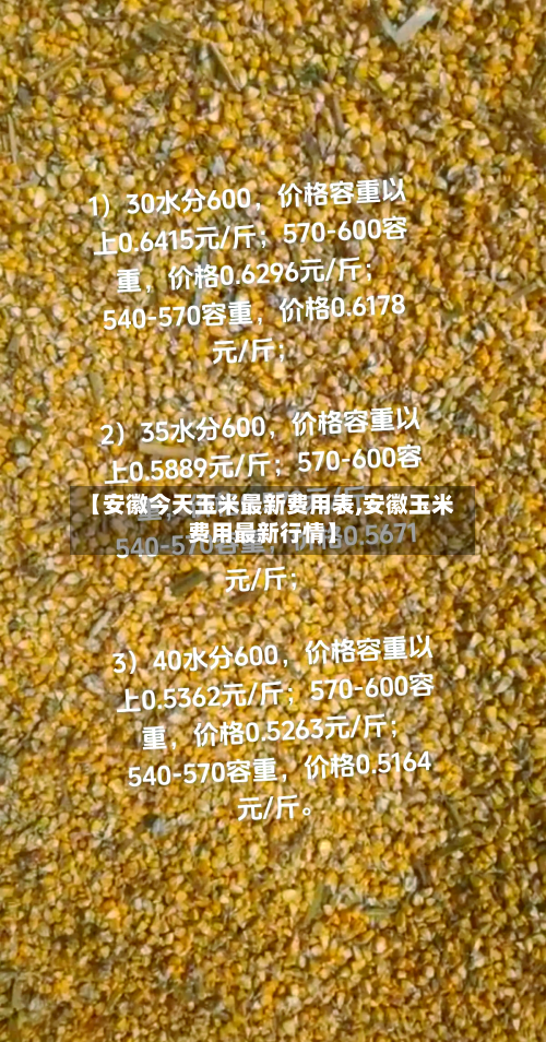 【安徽今天玉米最新费用表,安徽玉米费用最新行情】-第3张图片