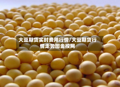 大豆期货实时费用行情/大豆期货行情走势图金投网-第2张图片