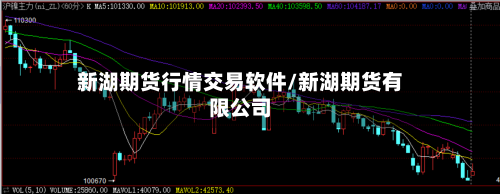 新湖期货行情交易软件/新湖期货有限公司-第3张图片