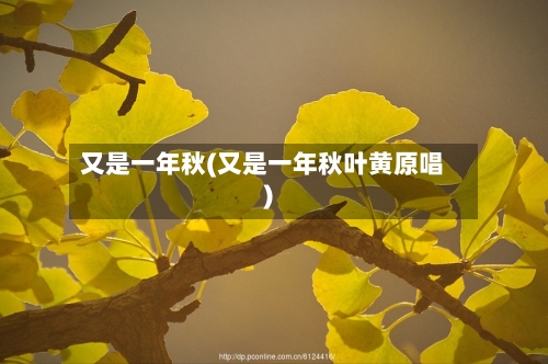 又是一年秋(又是一年秋叶黄原唱)-第2张图片
