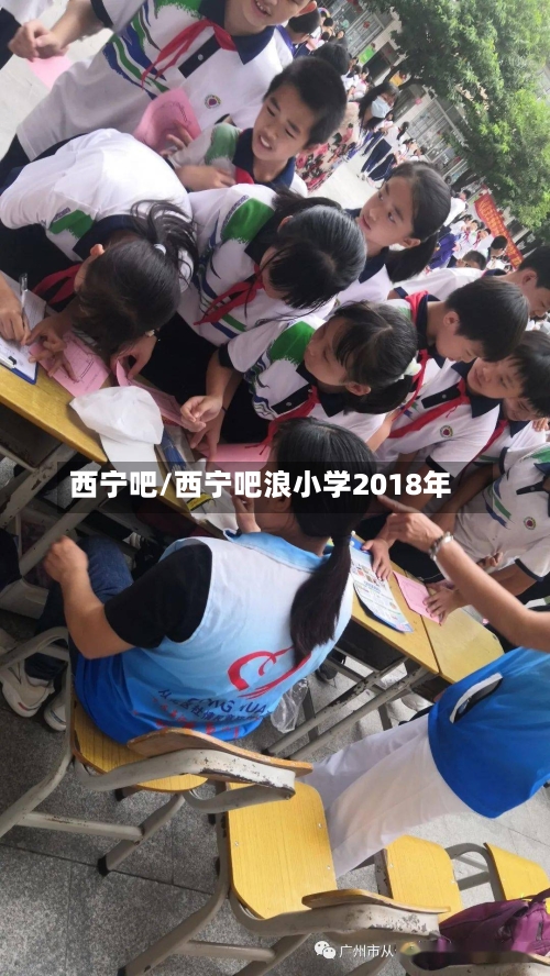 西宁吧/西宁吧浪小学2018年-第3张图片