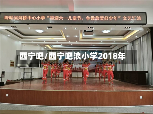 西宁吧/西宁吧浪小学2018年-第2张图片