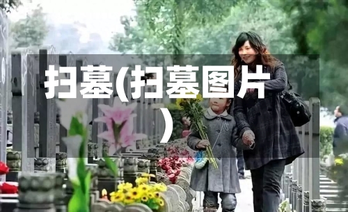 扫墓(扫墓图片)-第3张图片