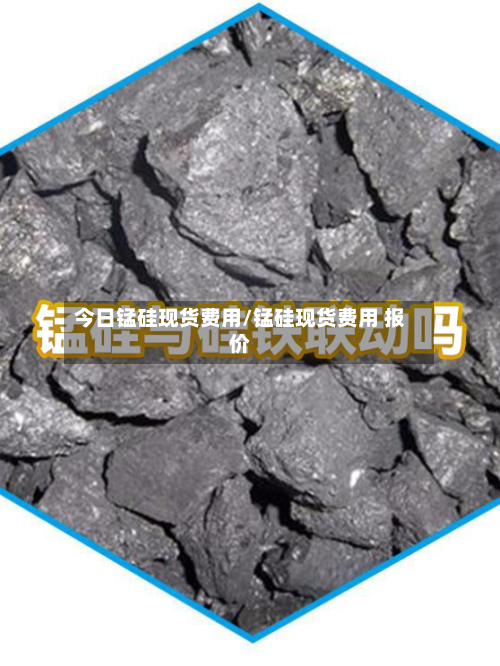 今日锰硅现货费用/锰硅现货费用 报价