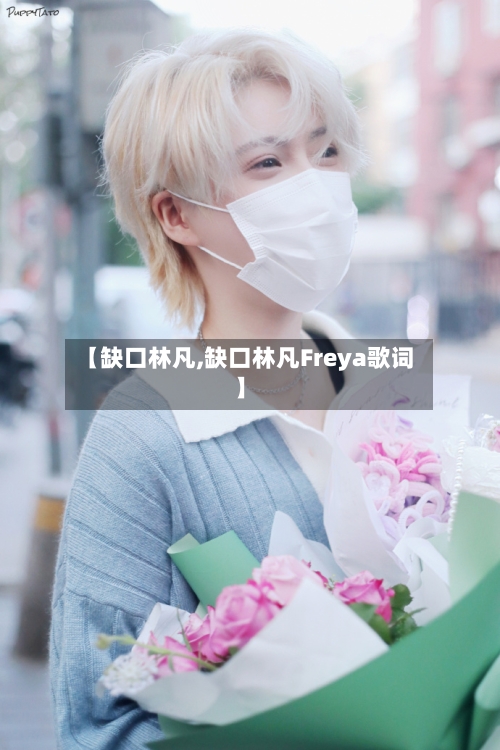 【缺口林凡,缺口林凡Freya歌词】