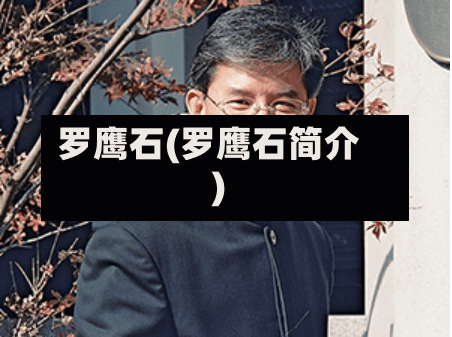 罗鹰石(罗鹰石简介)-第2张图片