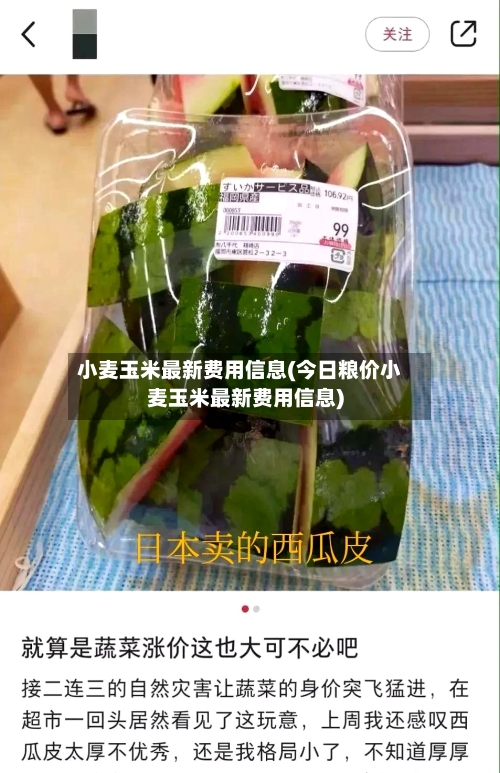 小麦玉米最新费用信息(今日粮价小麦玉米最新费用信息)-第2张图片