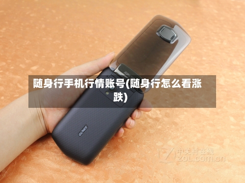 随身行手机行情账号(随身行怎么看涨跌)