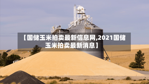 【国储玉米拍卖最新信息网,2021国储玉米拍卖最新消息】-第2张图片