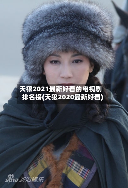 天狼2021最新好看的电视剧排名榜(天狼2020最新好看)