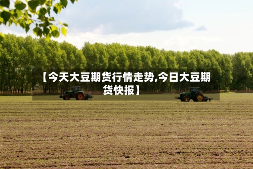 【今天大豆期货行情走势,今日大豆期货快报】-第2张图片