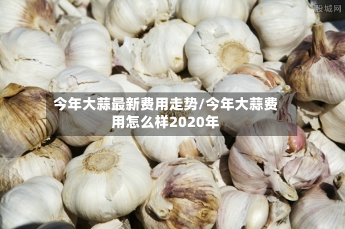 今年大蒜最新费用走势/今年大蒜费用怎么样2020年