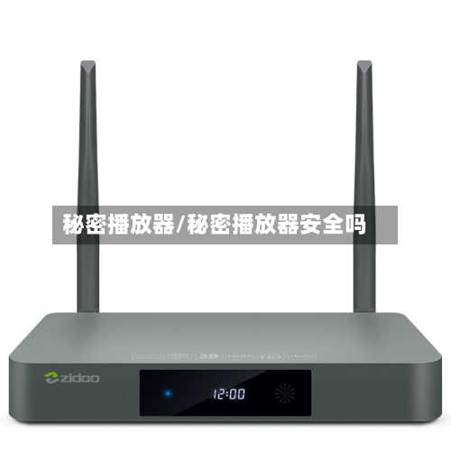 秘密播放器/秘密播放器安全吗-第2张图片