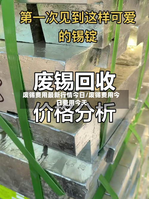 废锡费用最新行情今日/废锡费用今日费用今天