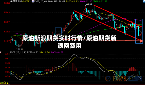 原油新浪期货实时行情/原油期货新浪网费用