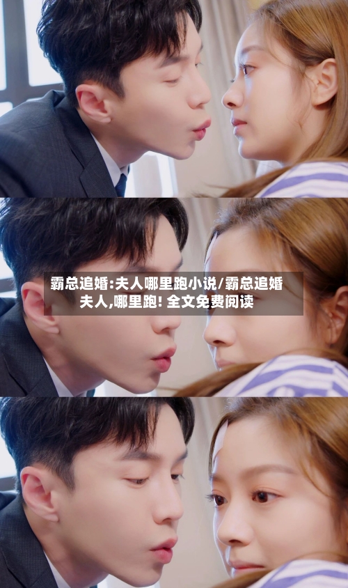 霸总追婚:夫人哪里跑小说/霸总追婚夫人,哪里跑! 全文免费阅读-第2张图片