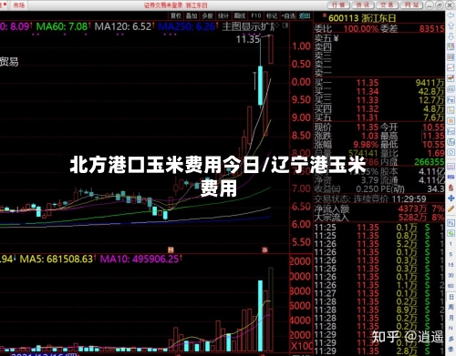 北方港口玉米费用今日/辽宁港玉米费用-第2张图片
