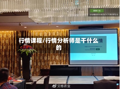 行情课程/行情分析师是干什么的
