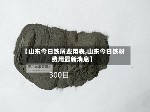 【山东今日铁屑费用表,山东今日铁粉费用最新消息】