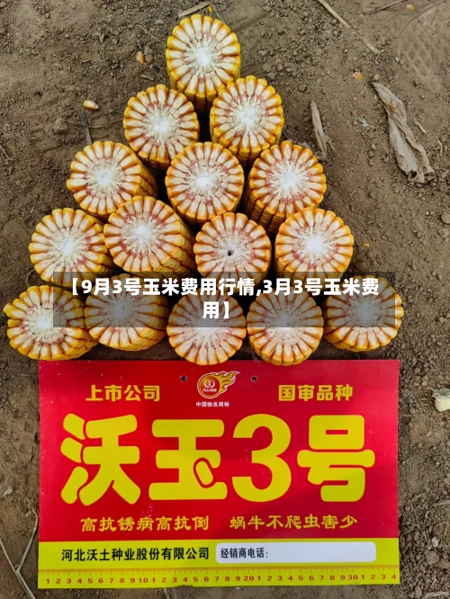 【9月3号玉米费用行情,3月3号玉米费用】-第2张图片