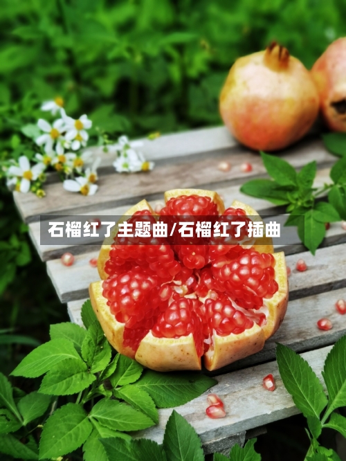 石榴红了主题曲/石榴红了插曲