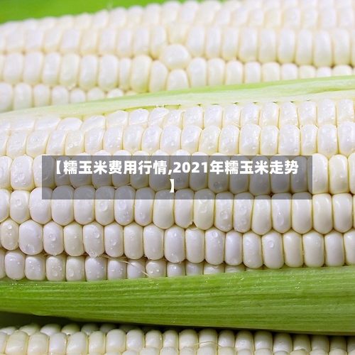 【糯玉米费用行情,2021年糯玉米走势】