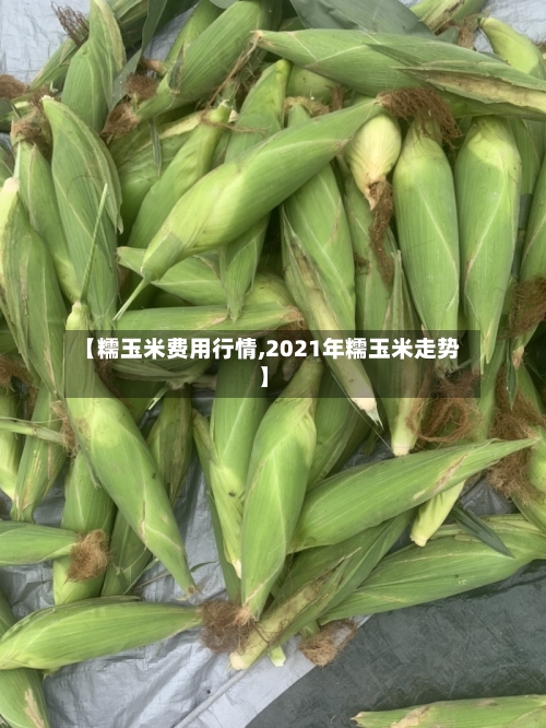 【糯玉米费用行情,2021年糯玉米走势】-第3张图片