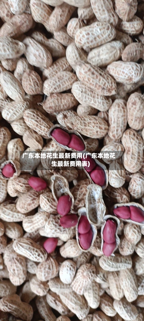 广东本地花生最新费用(广东本地花生最新费用表)