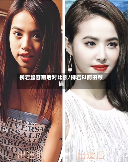 柳岩整容前后对比照/柳岩以前的颜值