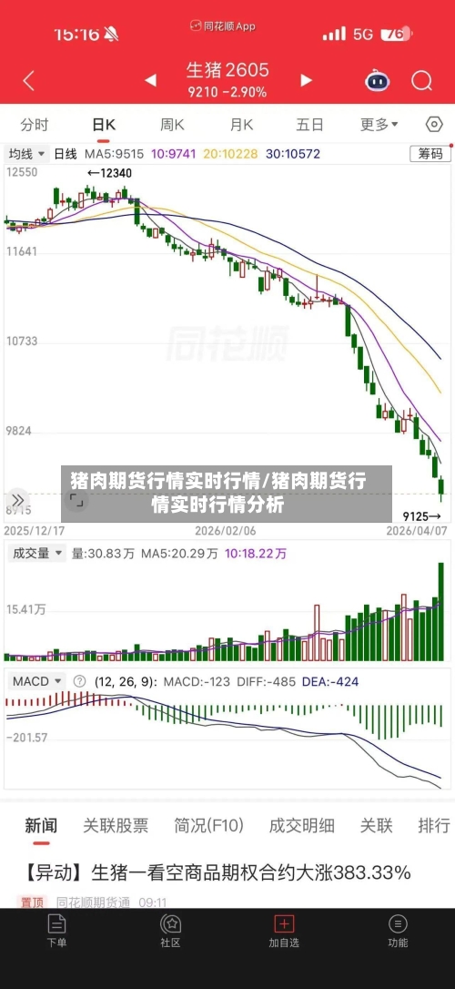 猪肉期货行情实时行情/猪肉期货行情实时行情分析