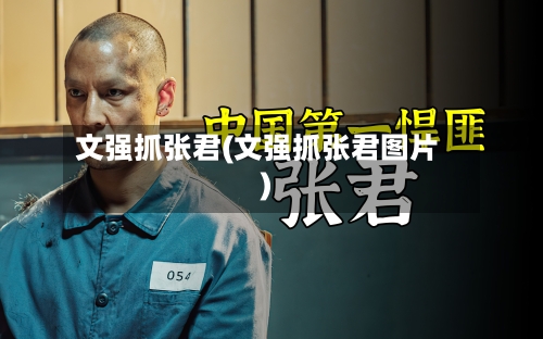文强抓张君(文强抓张君图片)