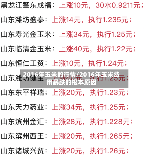 2016年玉米的行情/2016年玉米费用暴跌的根本原因-第3张图片