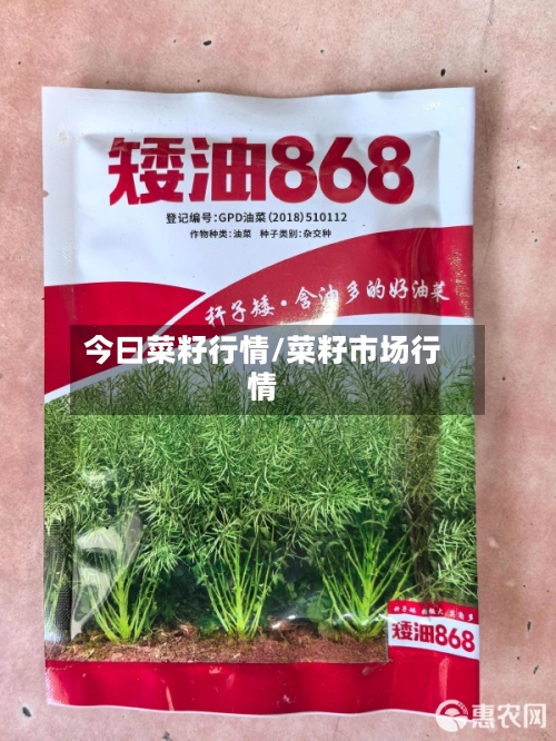 今曰菜籽行情/菜籽市场行情-第2张图片