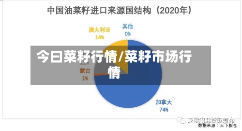 今曰菜籽行情/菜籽市场行情