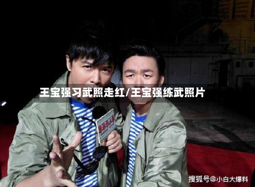 王宝强习武照走红/王宝强练武照片