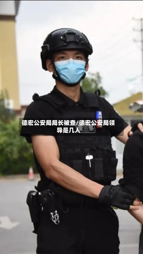 德宏公安局局长被查/德宏公安局领导是几人-第2张图片
