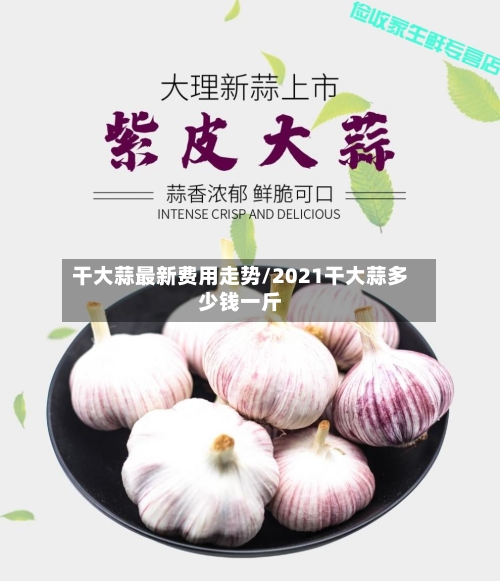 干大蒜最新费用走势/2021干大蒜多少钱一斤-第2张图片
