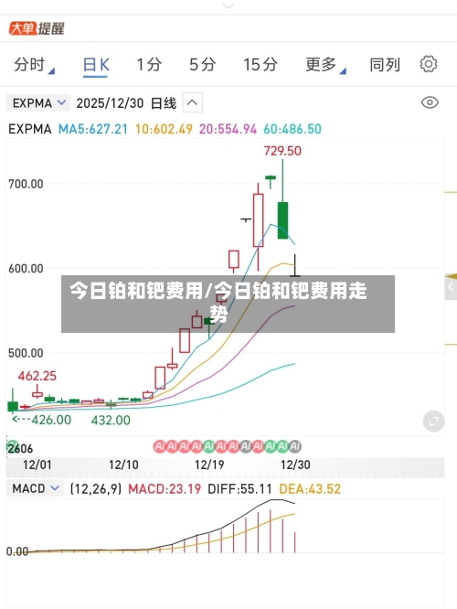 今日铂和钯费用/今日铂和钯费用走势-第2张图片