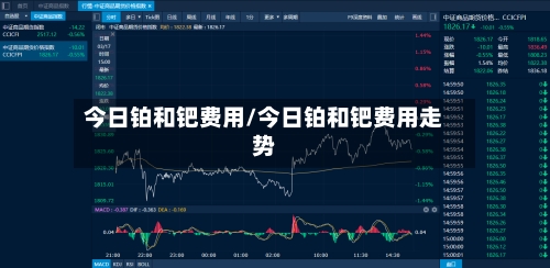 今日铂和钯费用/今日铂和钯费用走势-第3张图片